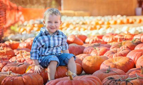 Young boy sitting on pumpkins