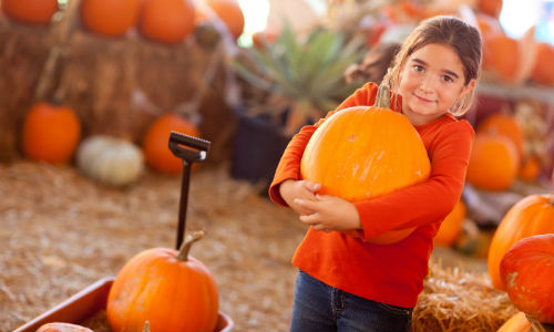 Young girl carrying pumpkin