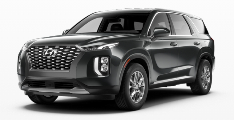 2021 Hyundai Palisade in Rainforest