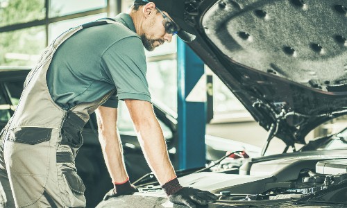 Service worker looking into vehicle